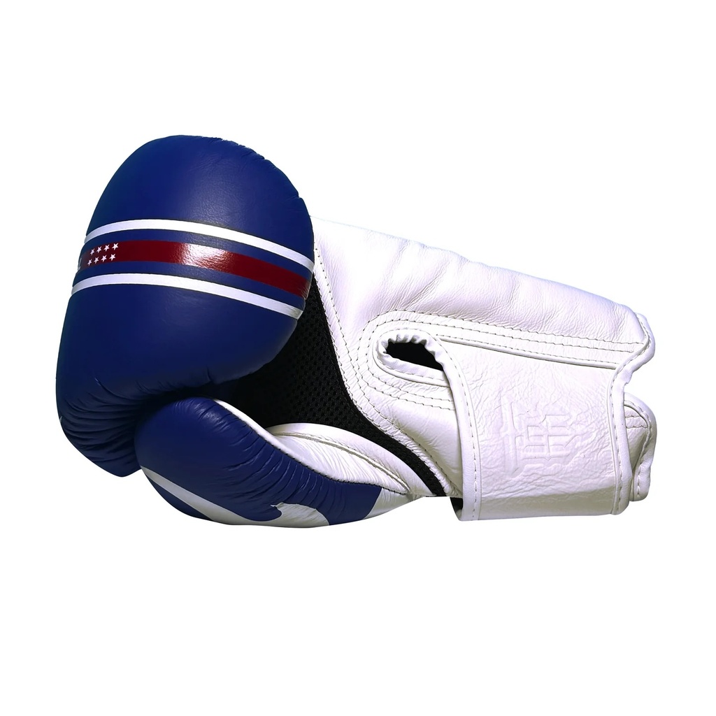 Top King Boxhandschuhe World Series, Blau-Weiß 6