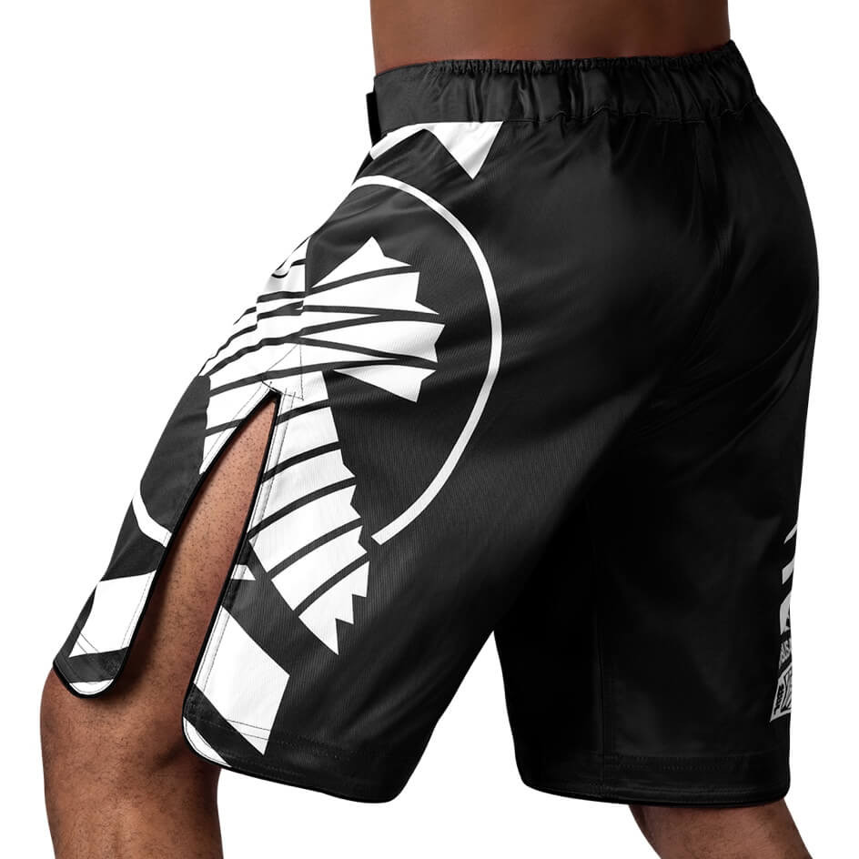 Hayabusa Fight Shorts Icon, Schwarz 4