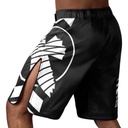 Hayabusa Fight Shorts Icon, Schwarz 4