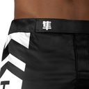 Hayabusa Fight Shorts Icon, Schwarz 5