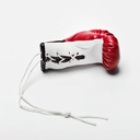 Leone Mini Boxhandschuhe, Rot