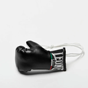 Leone Mini Boxhandschuhe, Schwarz 2