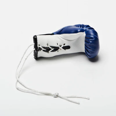 Leone Mini Boxhandschuhe, Blau