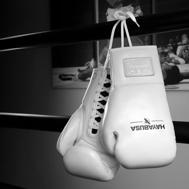 Hayabusa Boxhandschuhe Pro Fight Pferdehaar mit Schnürung, Weiß
