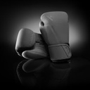 Hayabusa Boxhandschuhe T360, Grau 3