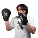 Hayabusa Boxpratzen PTS3, Schwarz 6