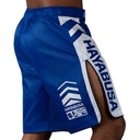 Hayabusa Fight Shorts Icon, Blau 3