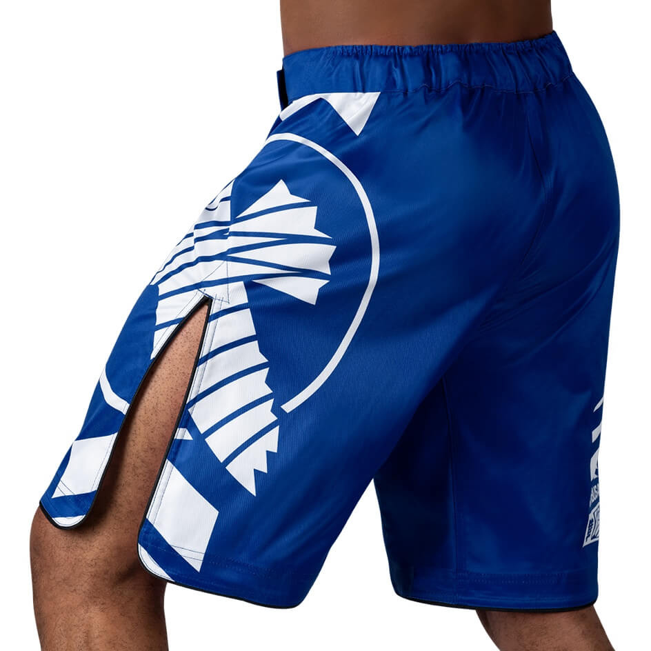 Hayabusa Fight Shorts Icon, Blau 4