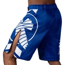 Hayabusa Fight Shorts Icon, Blau 4