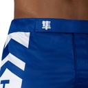 Hayabusa Fight Shorts Icon, Blau 5