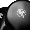 Hayabusa Paddles, Schwarz 4