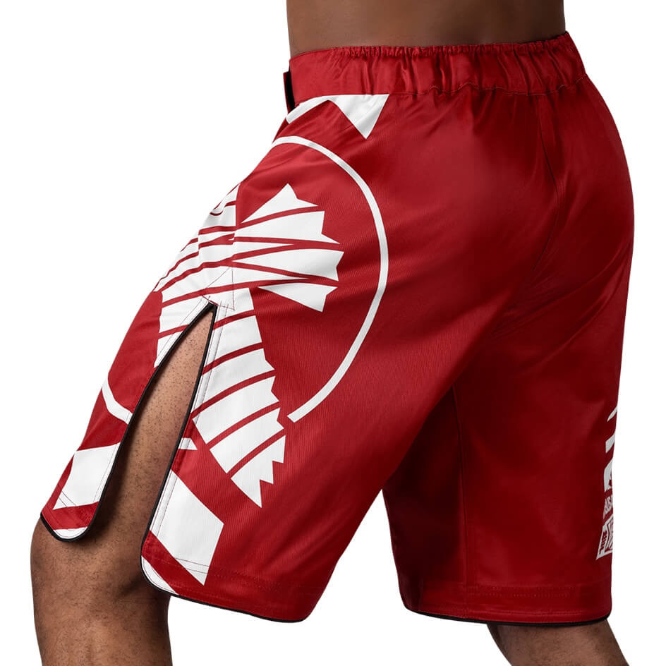 Hayabusa Fight Shorts Icon, Rot 4