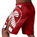 Hayabusa Fight Shorts Icon, Rot 4