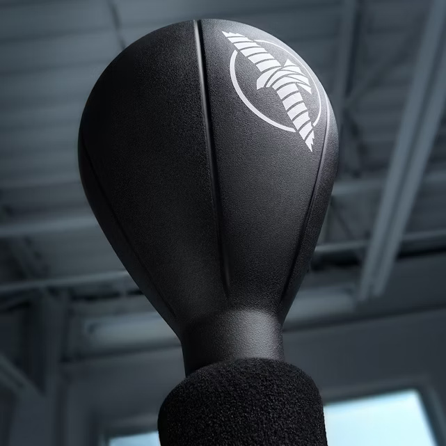 Hayabusa Standboxbirne Cobra, Schwarz 2