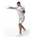Hayabusa Training Shorts Performance mit Compression Shorts, Hellgrau