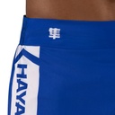 Hayabusa Fight Shorts Kickbox Icon 5