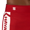 Hayabusa Fight Shorts Kickbox Icon 5