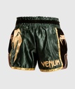 Venum Muay Thai Shorts Giant 2