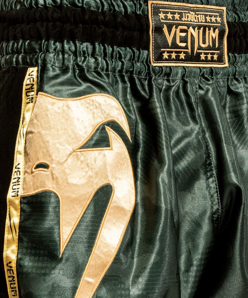 Venum Muay Thai Shorts Giant 3