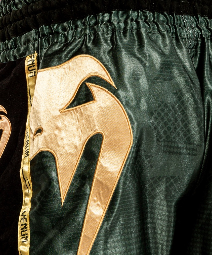 Venum Muay Thai Shorts Giant 4