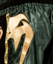 Venum Muay Thai Shorts Giant 4