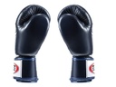 Fairtex Boxhandschuhe BGV19, Blau 3