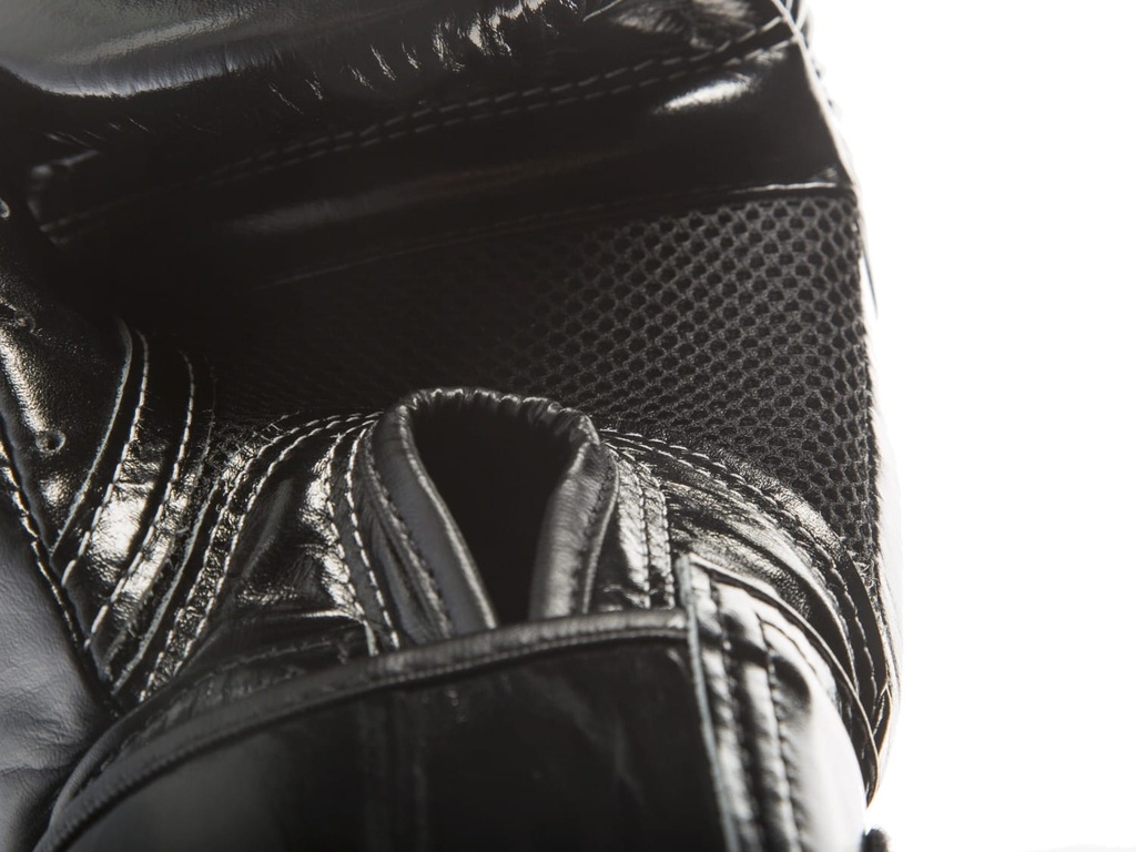 Fairtex Boxhandschuhe BGV1 Air, Schwarz 5
