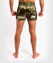 Venum Muay Thai Shorts One FC Impact 2