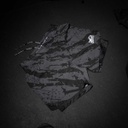 Phantom Fight Shorts Fusion 2in1 Camo Tiger, Schwarz-Grau 3