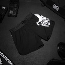 Phantom Fight Shorts Fusion Team, Schwarz 3