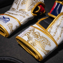 Phantom MMA Handschuhe Sparring Muay Thai LE, Weiß 6