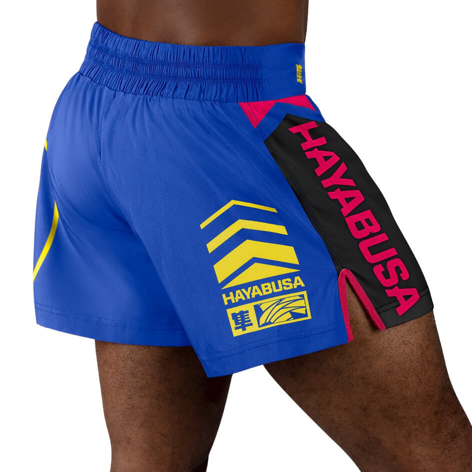 Hayabusa Kickboxing Shorts Icon 4