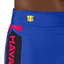 Hayabusa Kickboxing Shorts Icon 5