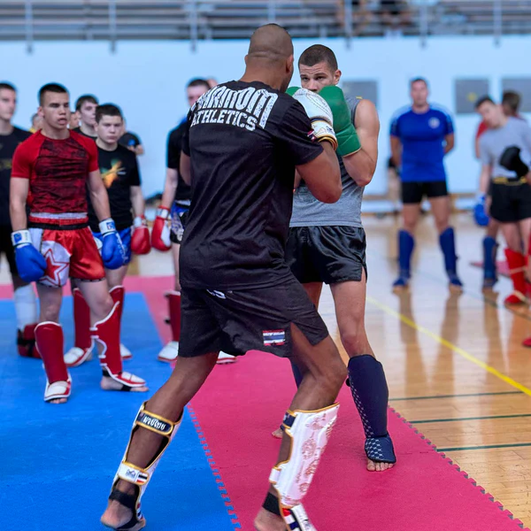 Phantom Schienbeinschoner Muay Thai LE, Weiß