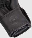 Venum Boxhandschuhe Challenger 2.0 Kids 6