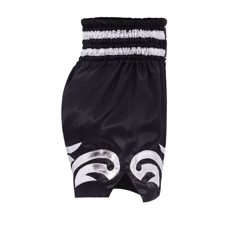 Top King Muay Thai Shorts TKTBS-094, Schwarz 4
