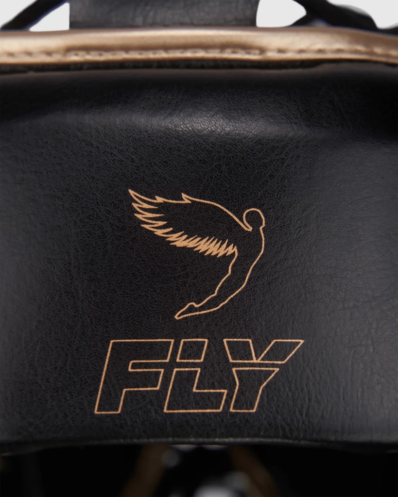 Fly Kopfschutz Knight X, Schwarz-Gold 4