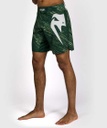 Venum Fight Shorts Rapid Light, Wald Grün 2