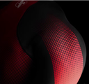 Hayabusa Rash Guard Pro Ranked, Schwarz 4