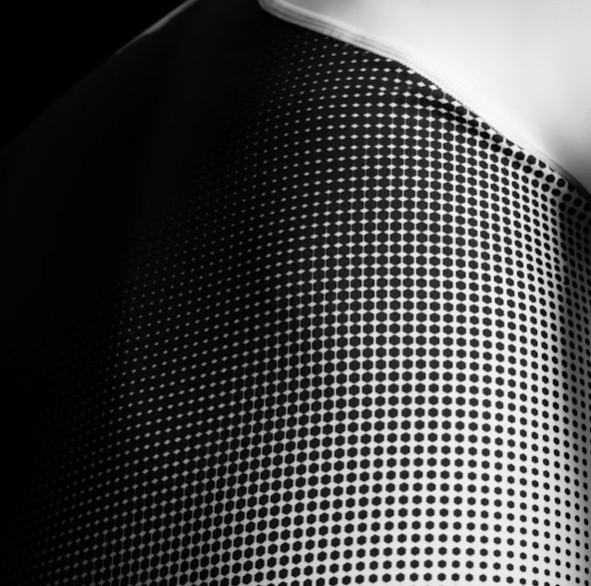 Hayabusa Rash Guard Pro Ranked, Weiss 5