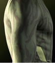Hayabusa Rash Guard Apex, Grün 4