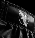 Hayabusa Muay Thai Shorts Core, Schwarz 4