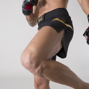 Everlast Fight Shorts, Schwarz-Gold 4