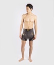 Venum Fight Shorts UFC Pro Line Champion 8