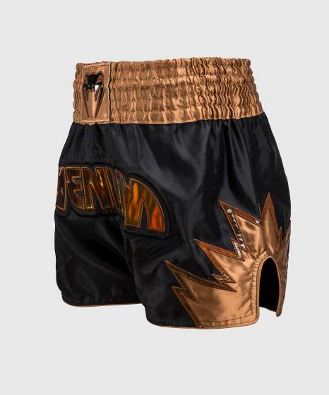 Venum Muay Thai Shorts Inferno, Schwarz-Bronze 2