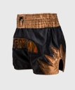 Venum Muay Thai Shorts Inferno, Schwarz-Bronze 2