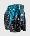 Venum Muay Thai Shorts X Tawanchay, Schwarz 4
