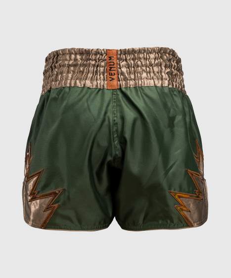 Venum Muay Thai Shorts Inferno, Khaki-Bronze 2
