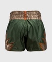 Venum Muay Thai Shorts Inferno, Khaki-Bronze 2