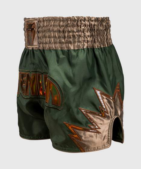 Venum Muay Thai Shorts Inferno, Khaki-Bronze 3